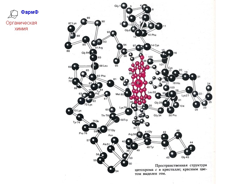 ФармФ  Органическая химия